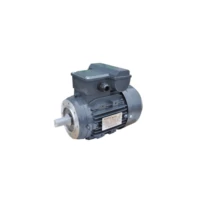 1 fázisú peremes villanymotor- Egyfázisú aszinkron villanymotor